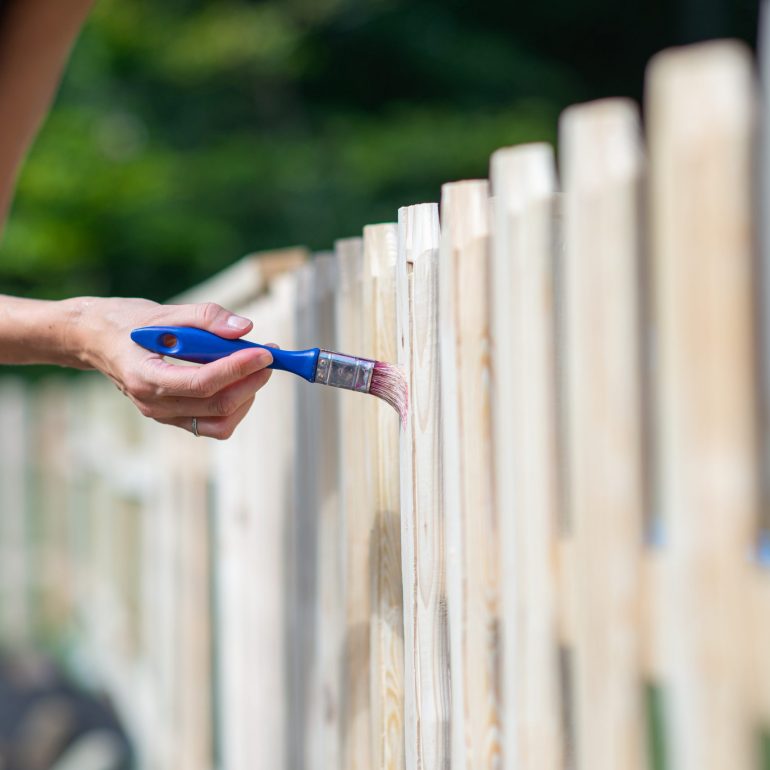 Woman painting a new wooden fence in backyard with transparent protective varnish.